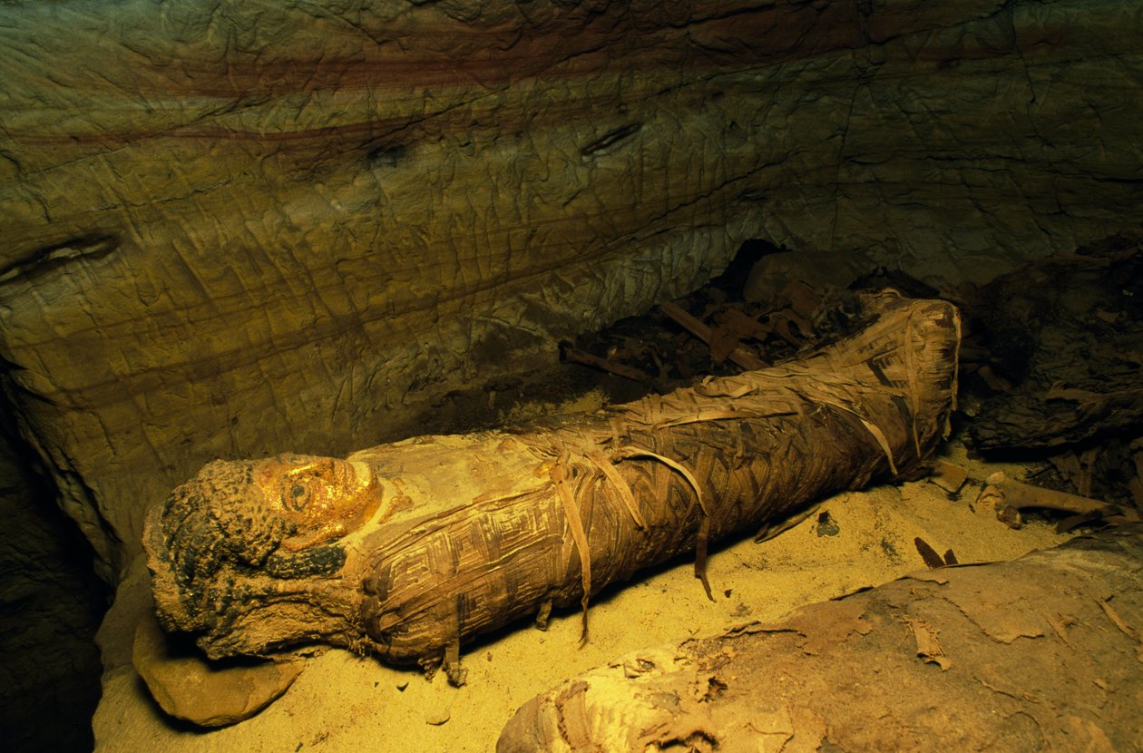 Mummy, Valley of Golden Mummies, Bahariya Oasis, Giza, Egypten. egyptisk civilisation af Egyptian Egyptian