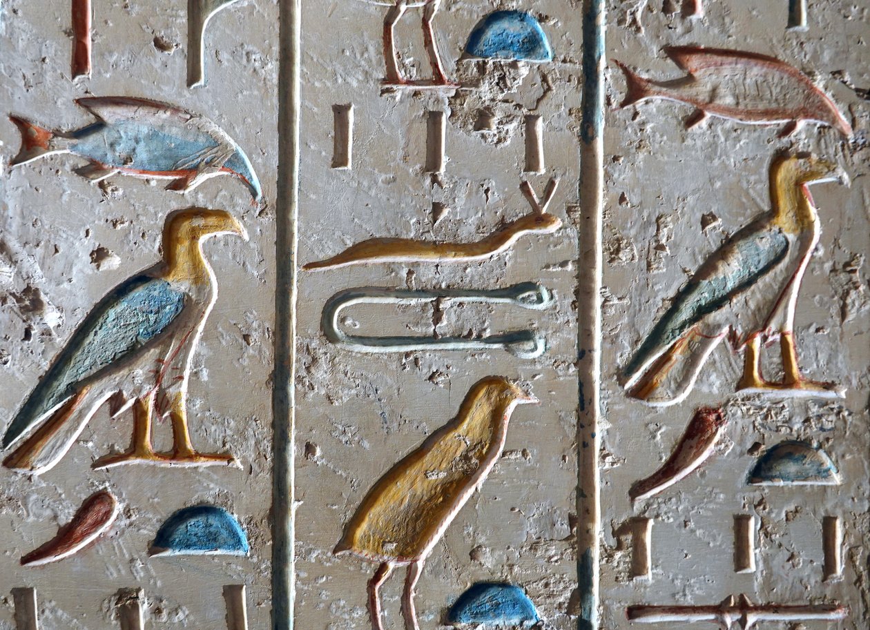 Ramses IX