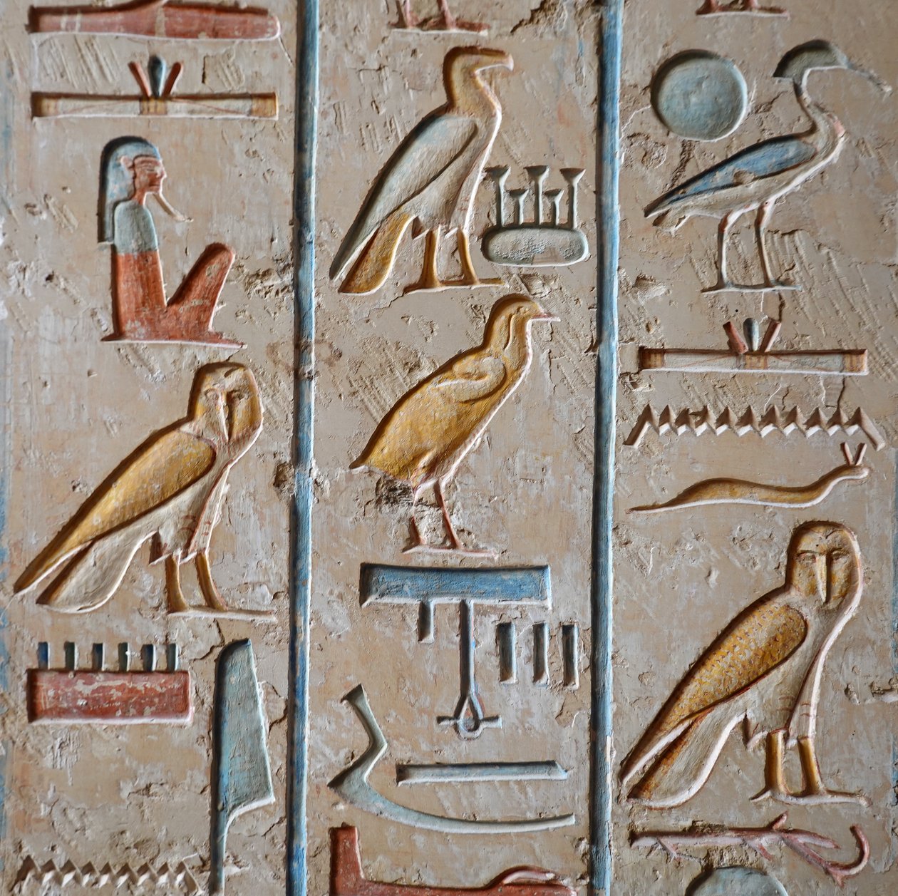 Ramses IX