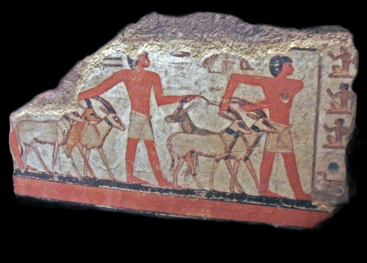 ørken (oryx, gazeller) bringes foran Metchetch. Gammelt egyptisk vægmaleri af Egyptian Egyptian