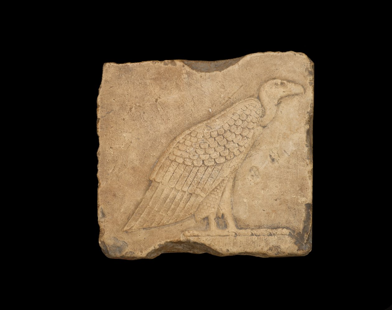 En blok med en stående grib på den ene side og en ugle på den anden side, begge i lavrelief, ptolemæisk periode, 305-30 f.Kr. (kalksten) af Egyptian Ptolemaic Period