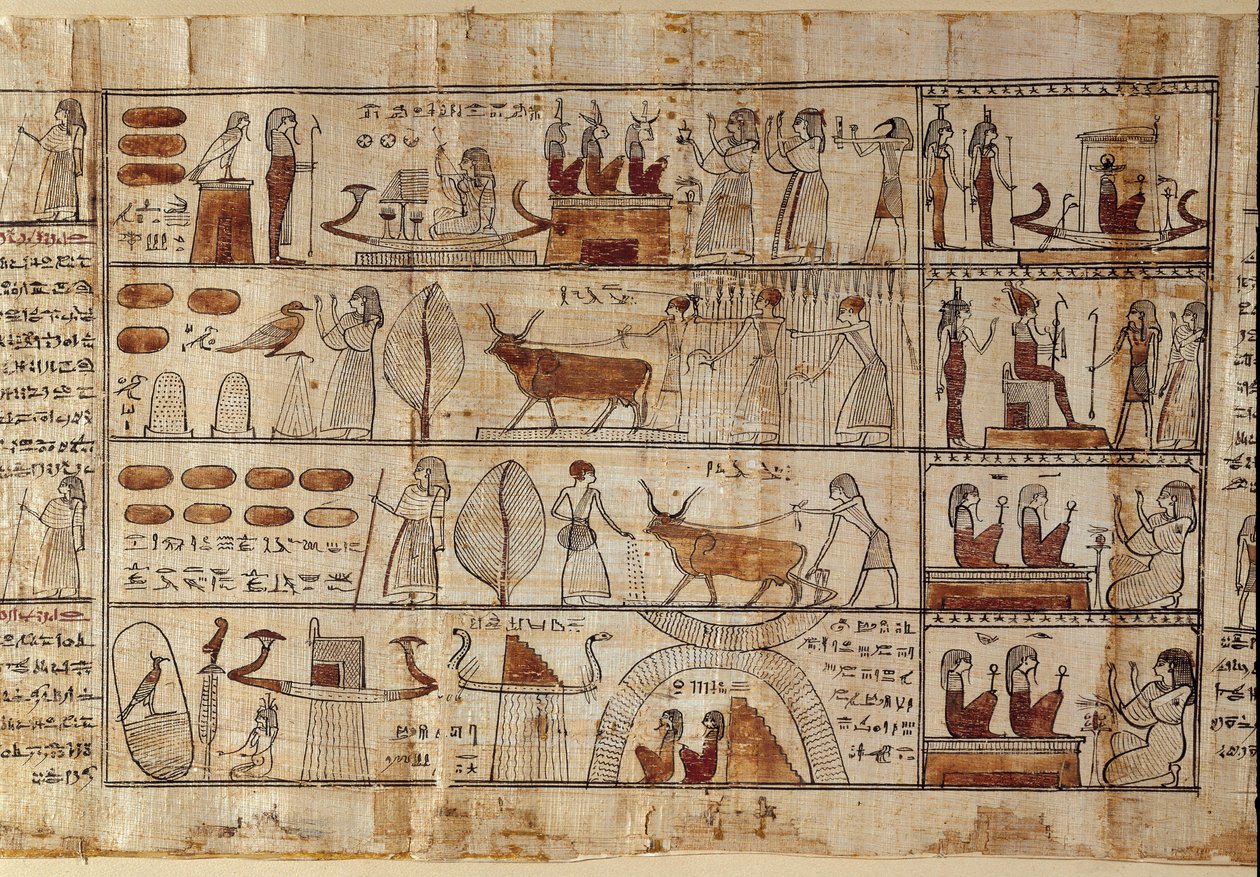 Egyptisk antikvitet: Elysees-markerne. Maleri på papyrus fra Dødebogen. Ptolemæisk periode Torino, egyptisk museum - Det gamle Egypten: de elysiske marker. Maleri på papyrus fra Dødebogen. Ptolemæisk periode. Egyptisk museum, Torino, It af Egyptian Ptolemaic Period