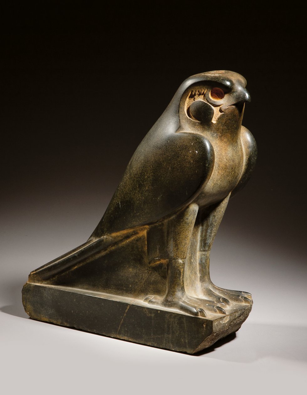 Falk af Egyptian Ptolemaic Period