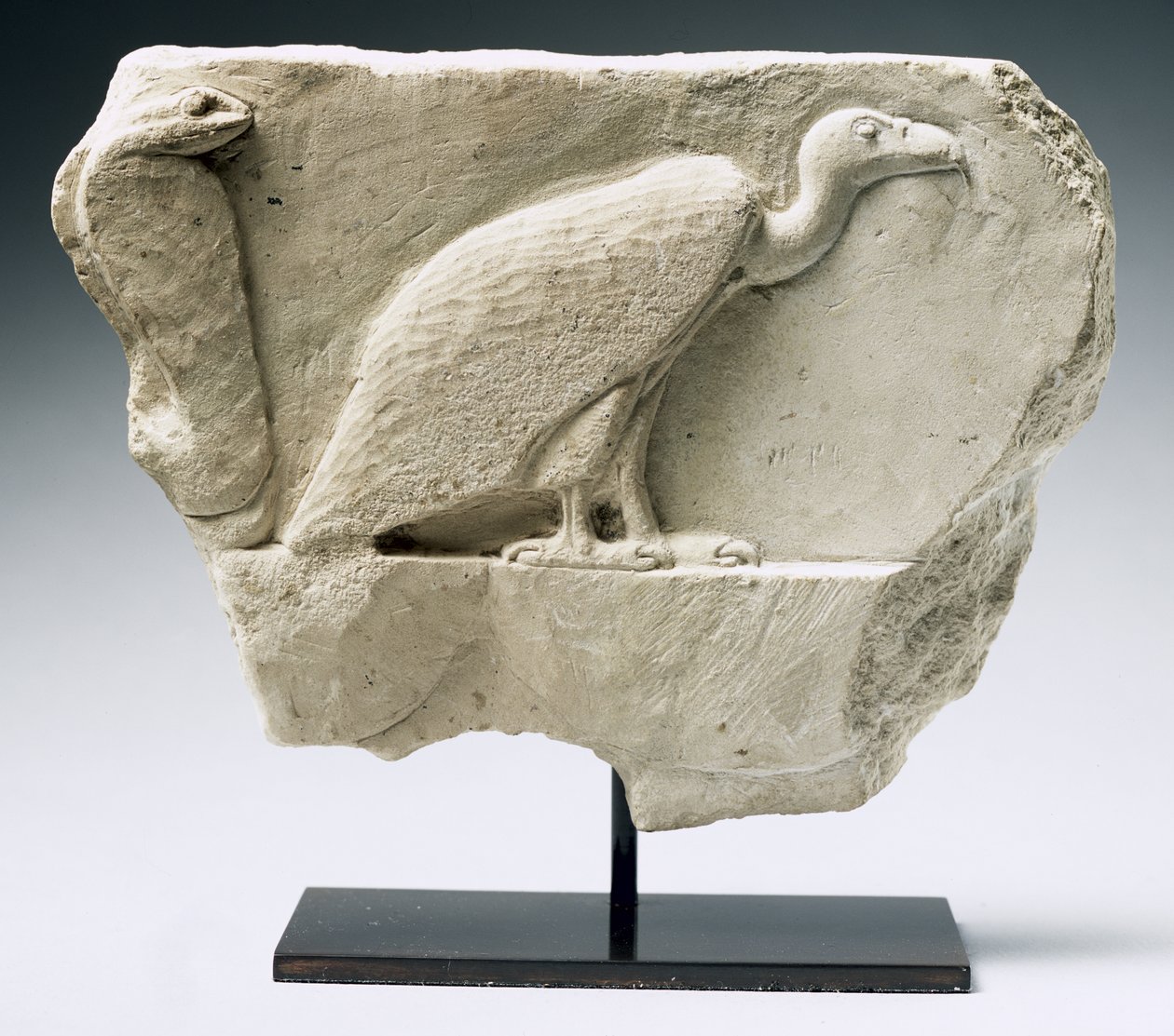 Relief forestillende en grib og kobra (kalksten) af Egyptian Ptolemaic Period