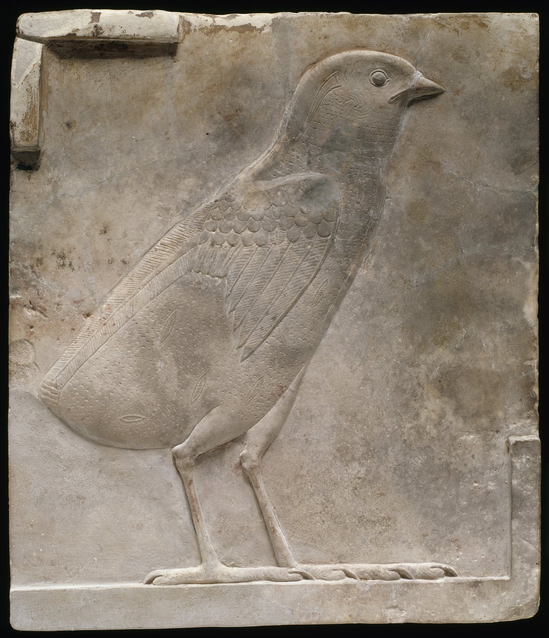 Reliefplade forestillende en kylling, ca. 330-305 f.Kr af Egyptian Ptolemaic Period
