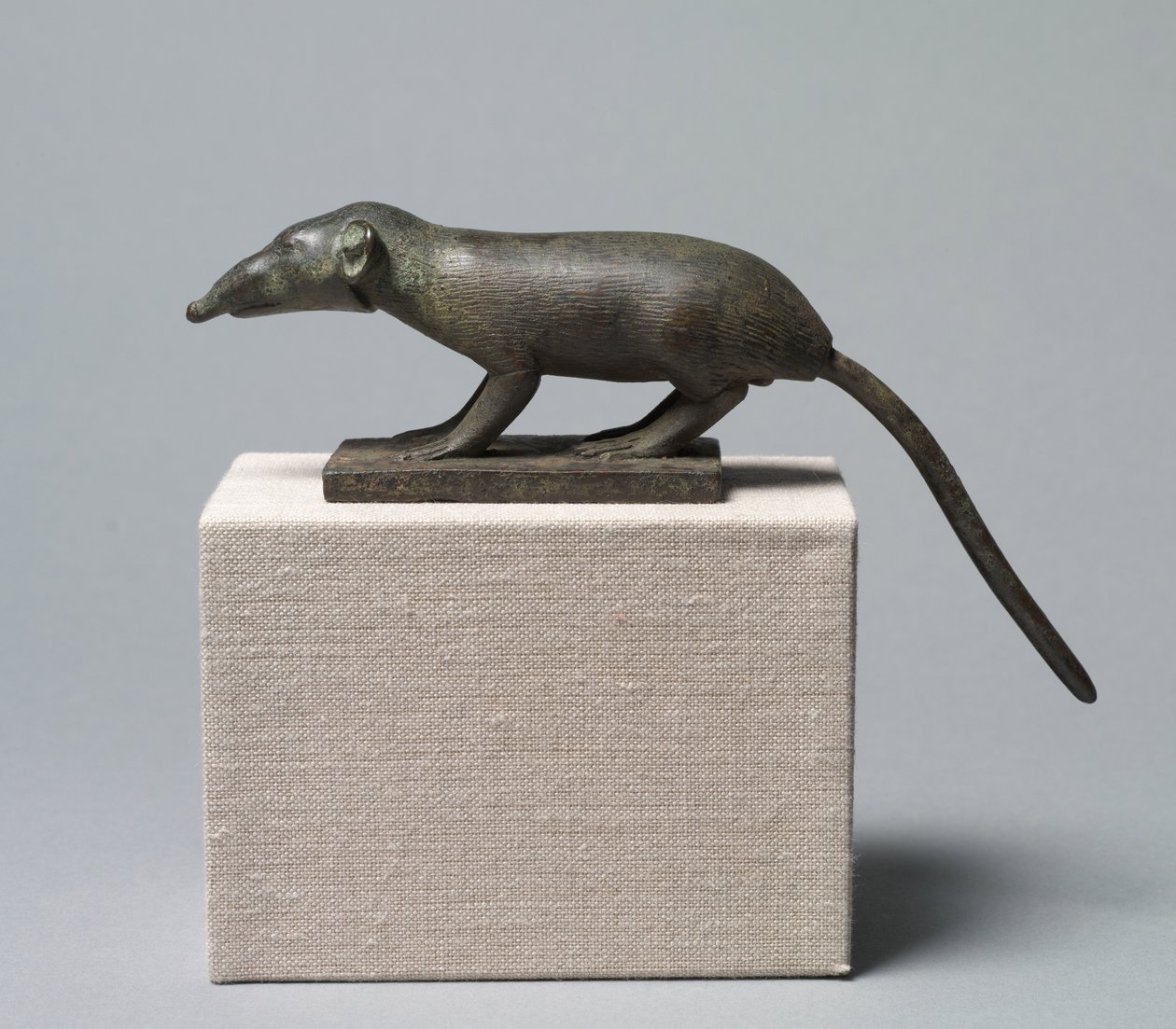 Shrew, 305-30 f.Kr af Egyptian Ptolemaic Period