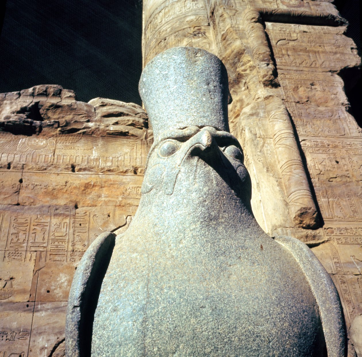 Statue af Horus, i Offerretten for Horus-templet (detaljer) af Egyptian Ptolemaic Period