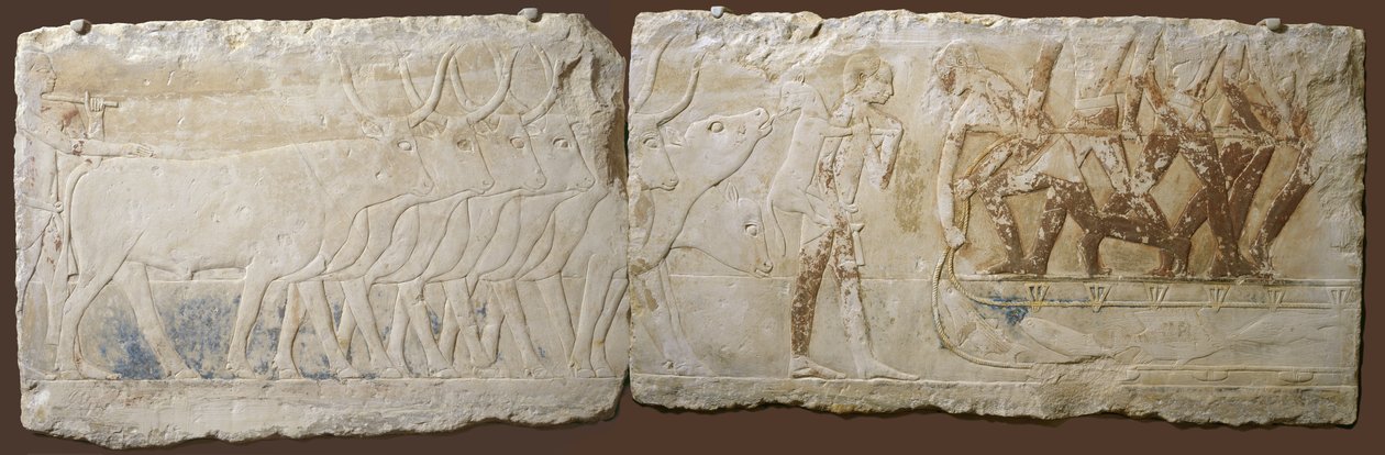 Relief for bønder, der driver kvæg og fiskeri, Det gamle kongerige, 2450-2290 f.Kr. (malet kalksten) af Egyptian School