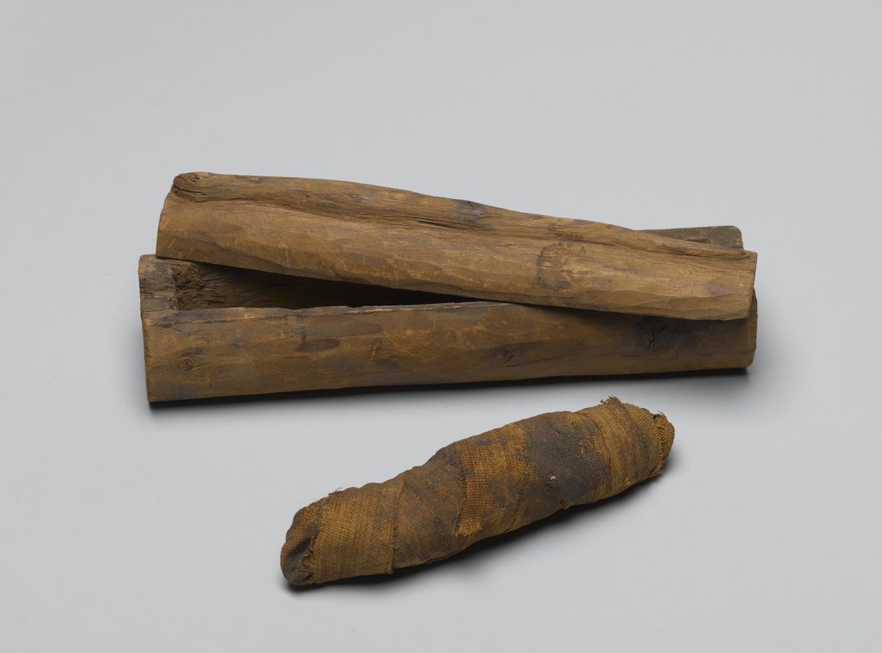 Lille kiste af slange, med mumie, 664 BC-322 BC (træ, dyrerester og linned) af Egyptian School