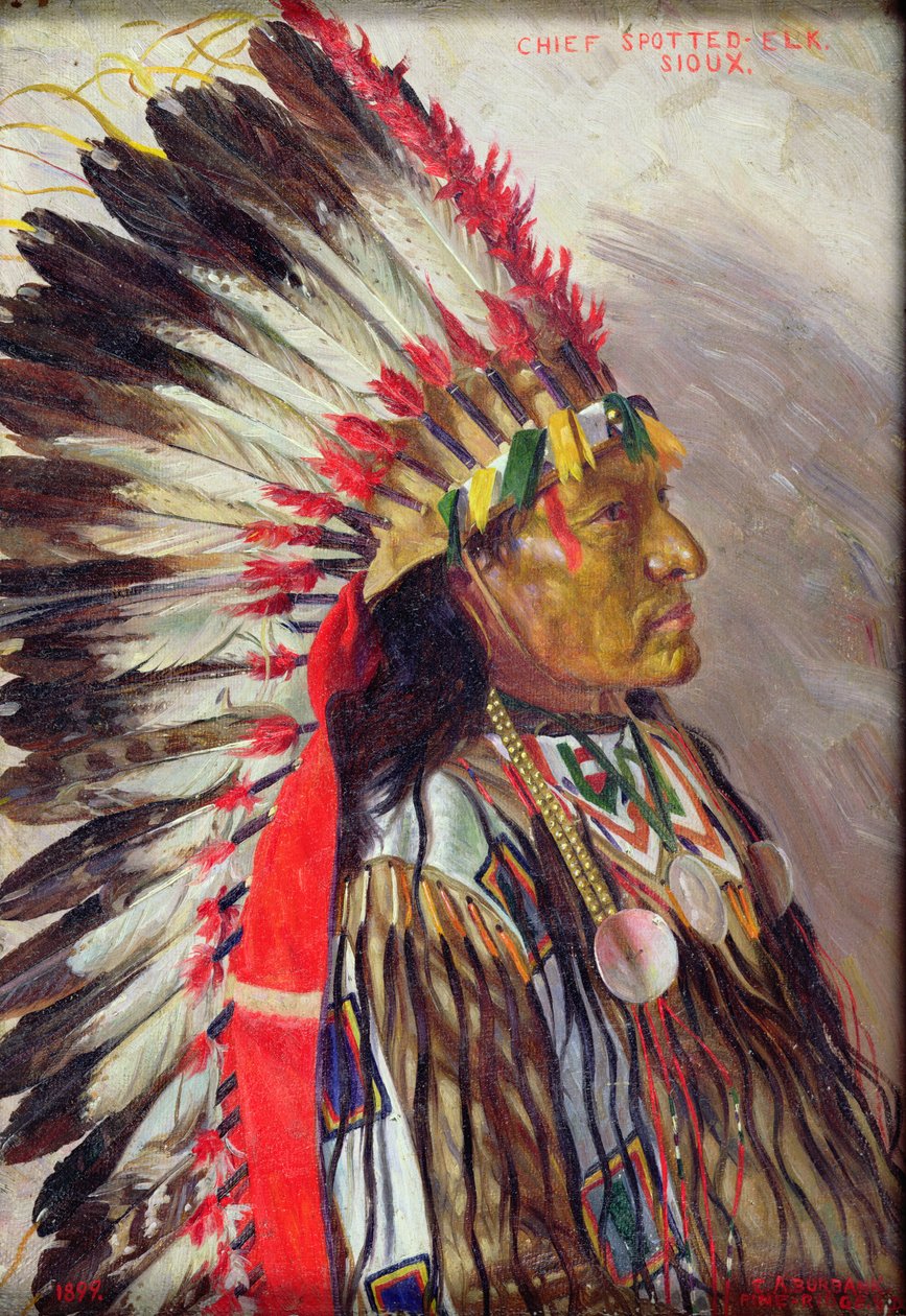 Chief Spotted Elk af Elbridge Ayer Burbank
