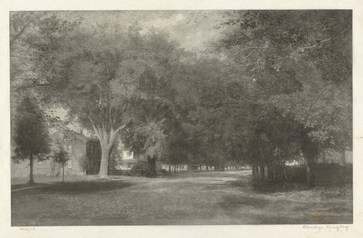 New England Elms af Elbridge Kingsley