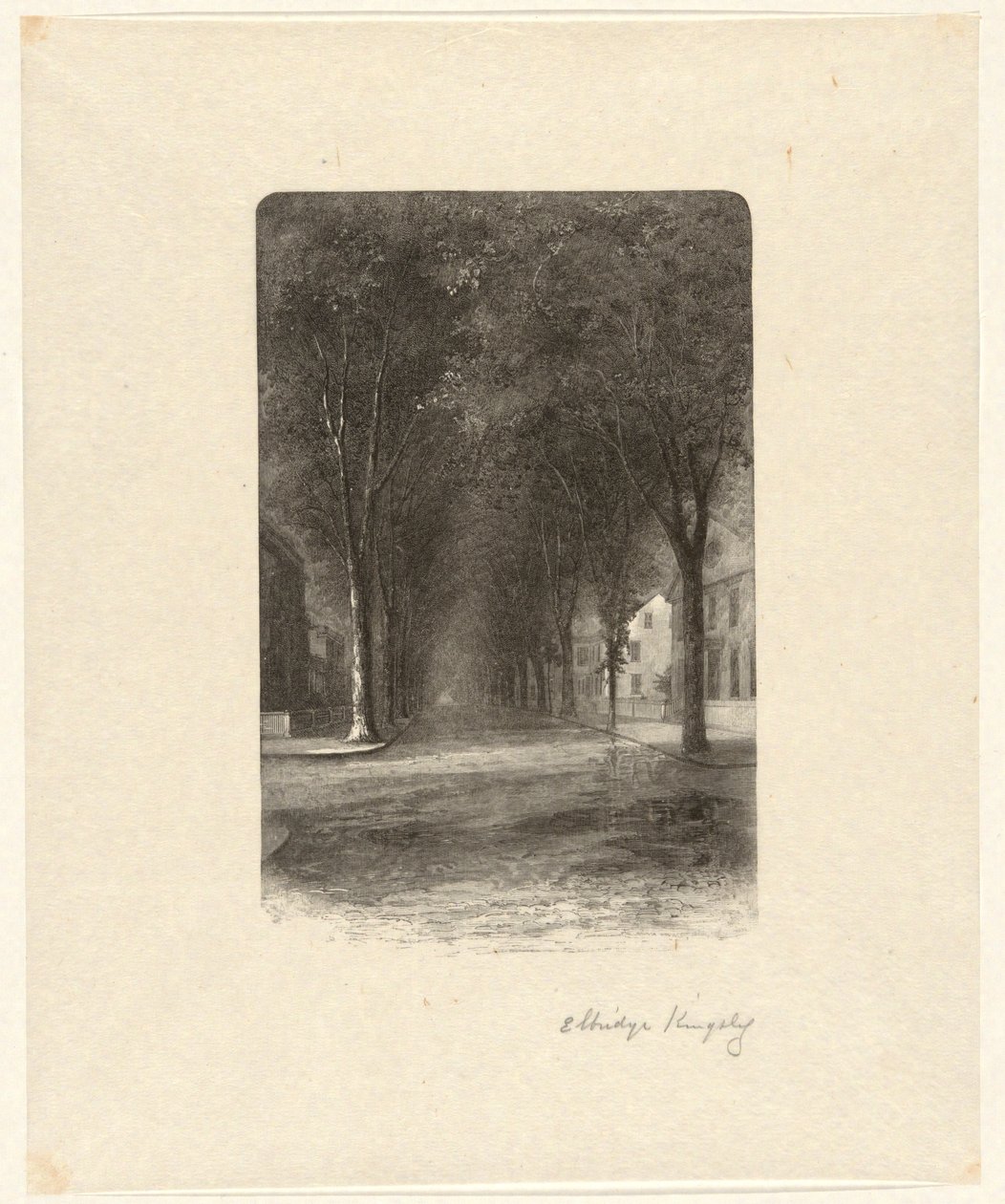 Uden titel [Tree-lined Street] af Elbridge Kingsley
