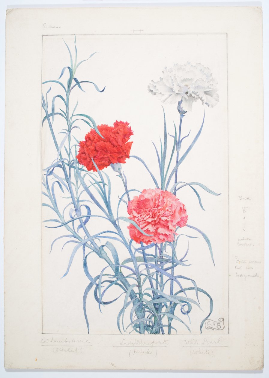 Carnations, ca. 1909 (Akvarel og grafit på karton) af Eleanor Fortescue-Brickdale