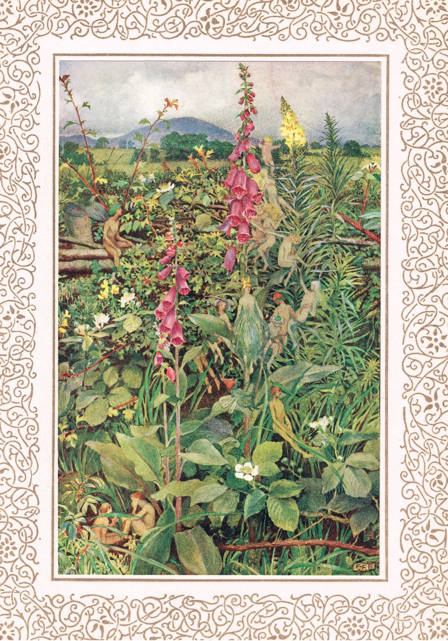 Naues Fairies among Foxgloves, illustration fra 
