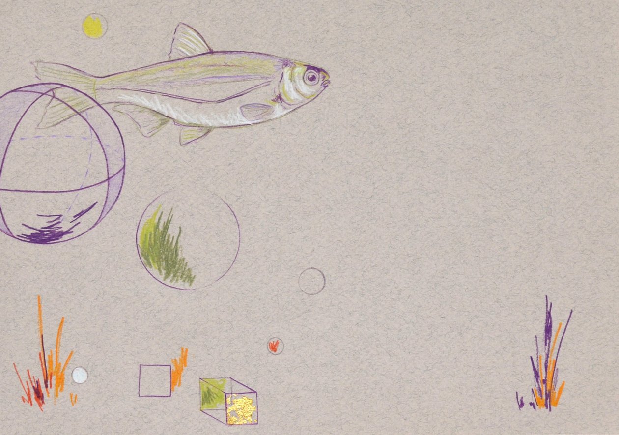 Floating, 2014 (akvarelblyant og bladguld på papir) af Eleanor Grafton