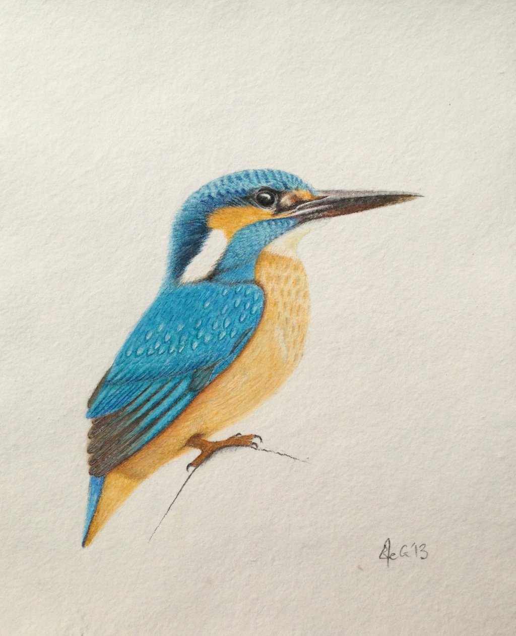 Kingfisher, 2013 (akvarel og blyant) af Eleanor Grafton