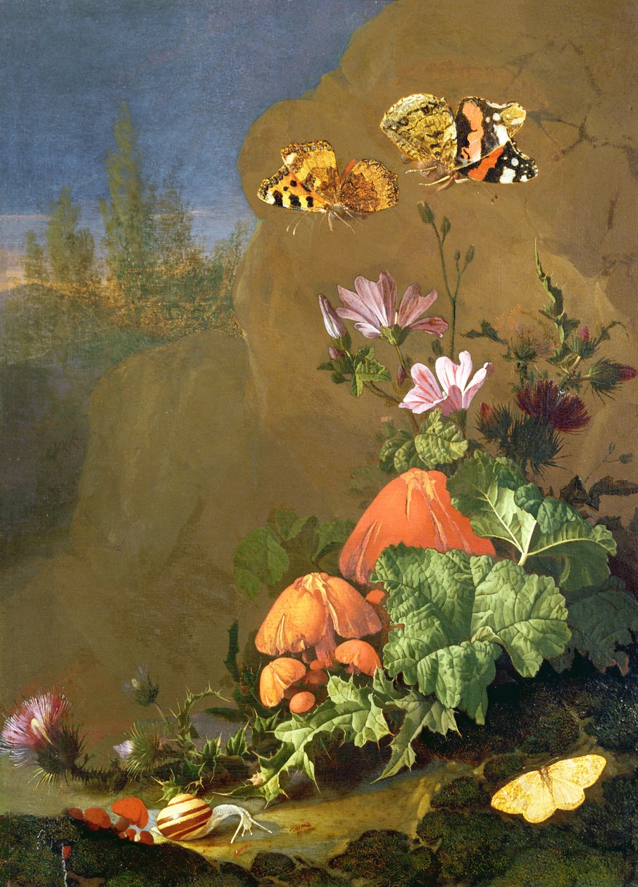 Stilleben af skovbund med blomster, svampe og snegle af Elias van den Broeck