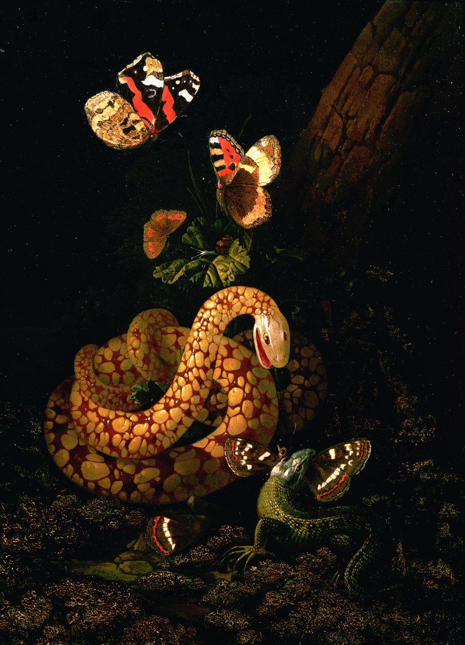 Stilleben med slange af Elias van den Broeck