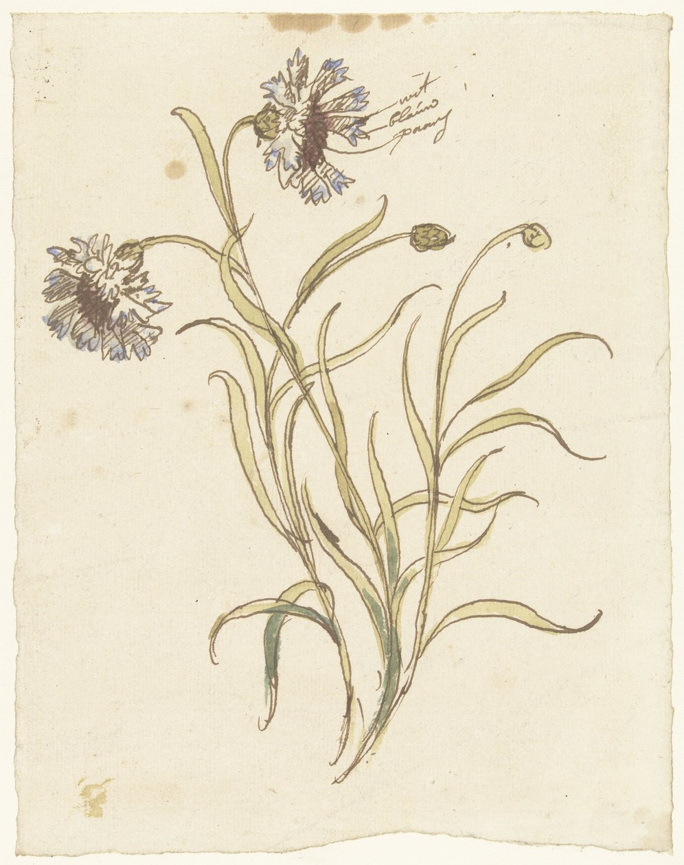 nelliker af Elias van Nijmegen