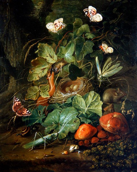 Et skovgulvsstilleben med frugter og sommerfugle (olie på panel) af Elias van den Broeck