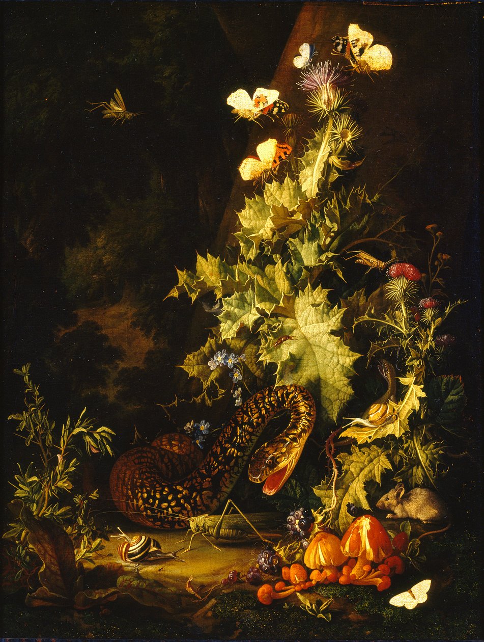 Stilleben med en slange, begyndelsen af det 18. århundrede af Elias van den Broeck
