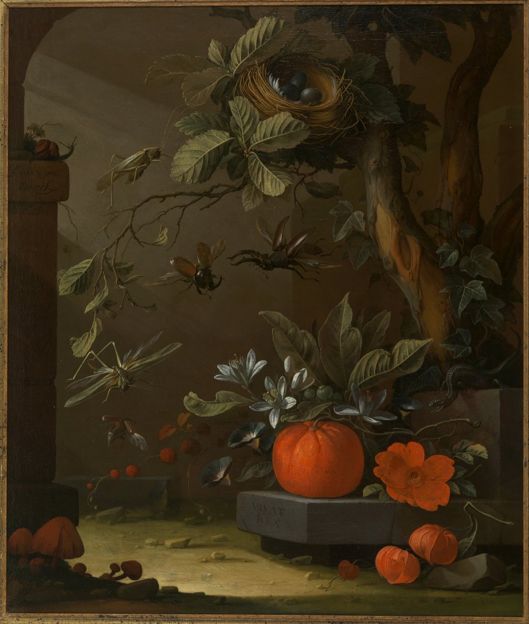 Vivat Rex af Elias van den Broeck