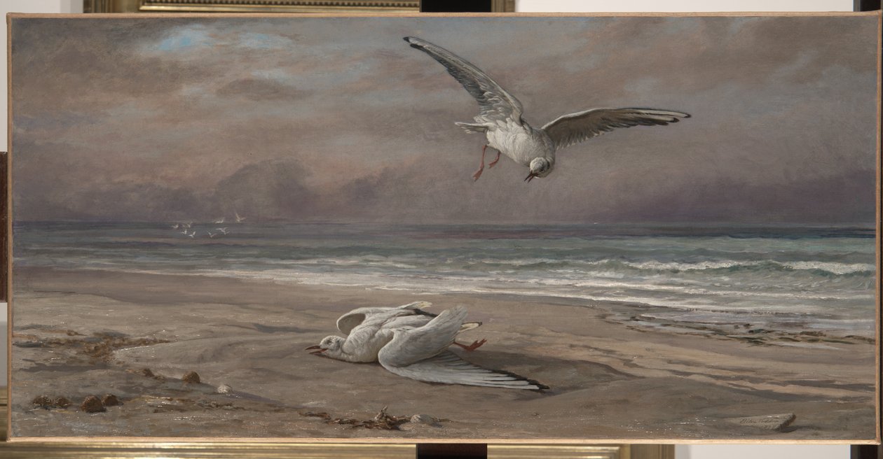 Den døende havmåge, 1879 af Elihu Vedder