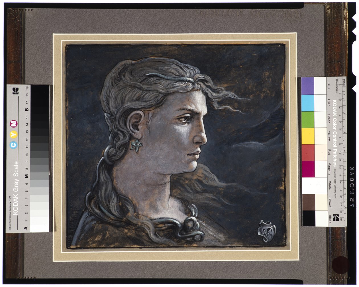 Hoved af Medusa, 1878 af Elihu Vedder