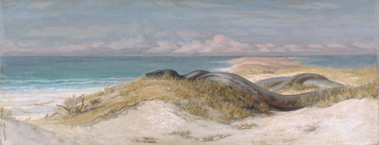 Søslangens hule af Elihu Vedder