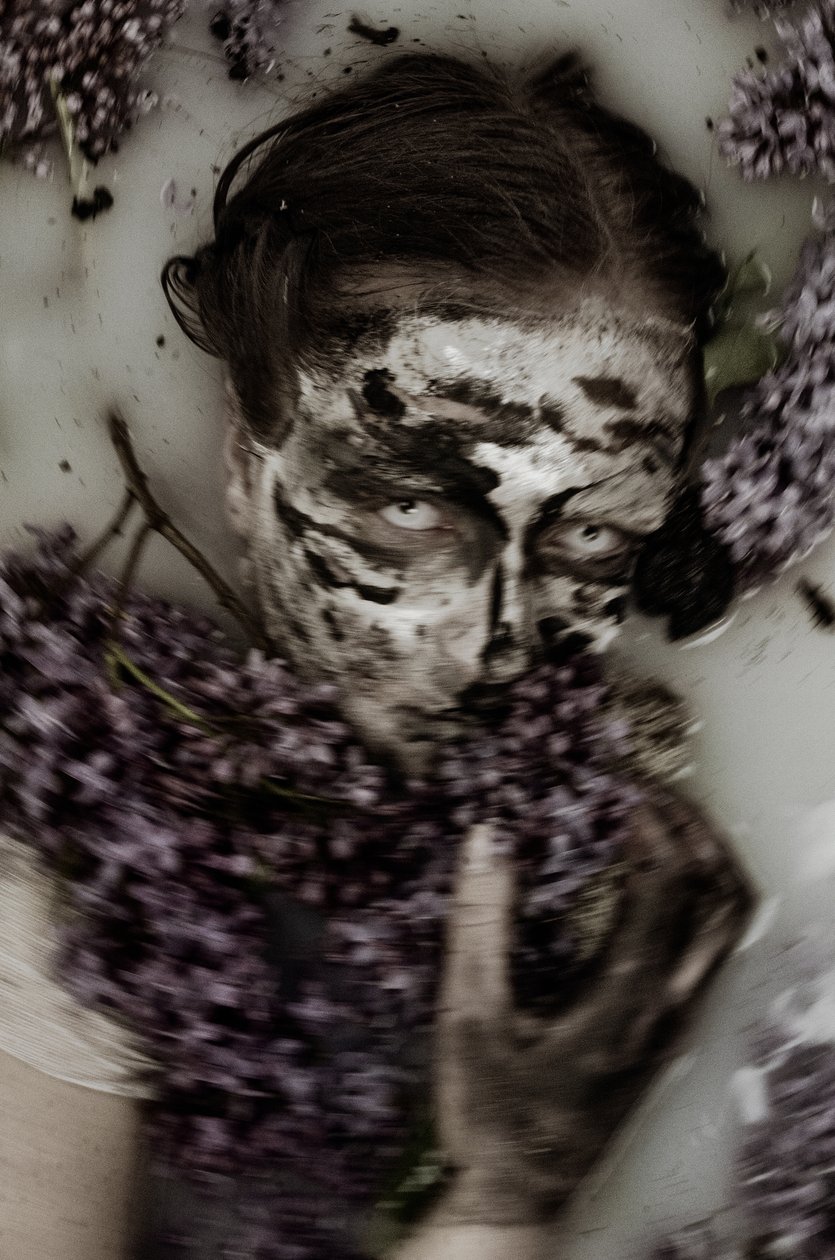 BeautyBeast, 2015 (silketryk) af Elinleticia Högabo