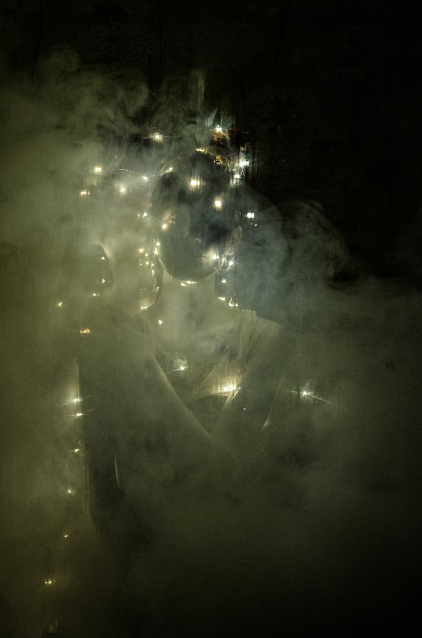 Lightness of being 1, 2014 (silketryk) af Elinleticia Högabo