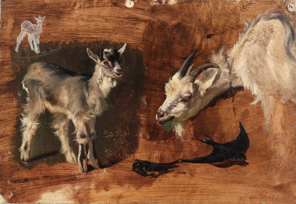 Geder af Eliphalet Fraser Andrews