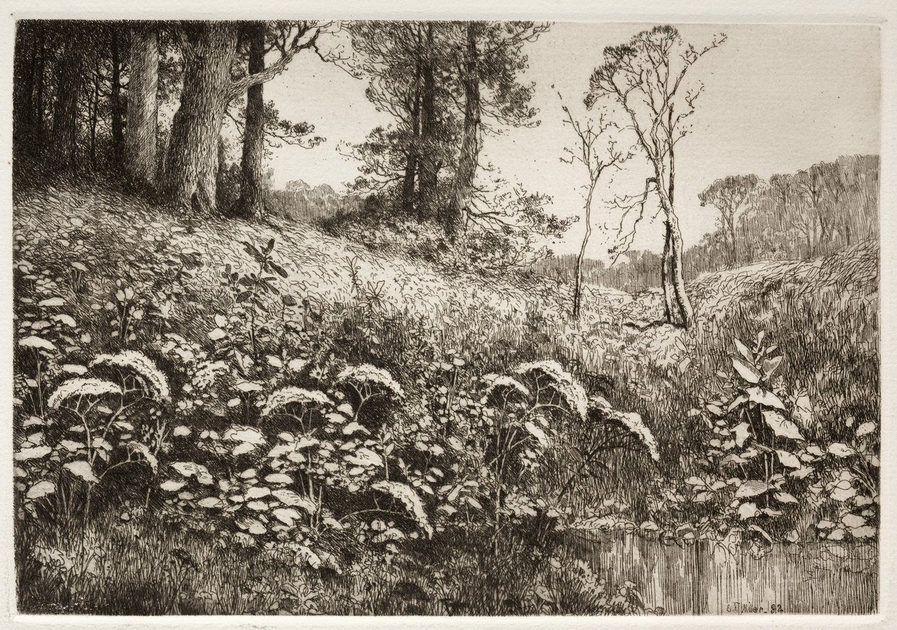En sommereftermiddag, 1882. af Elis F. Miller