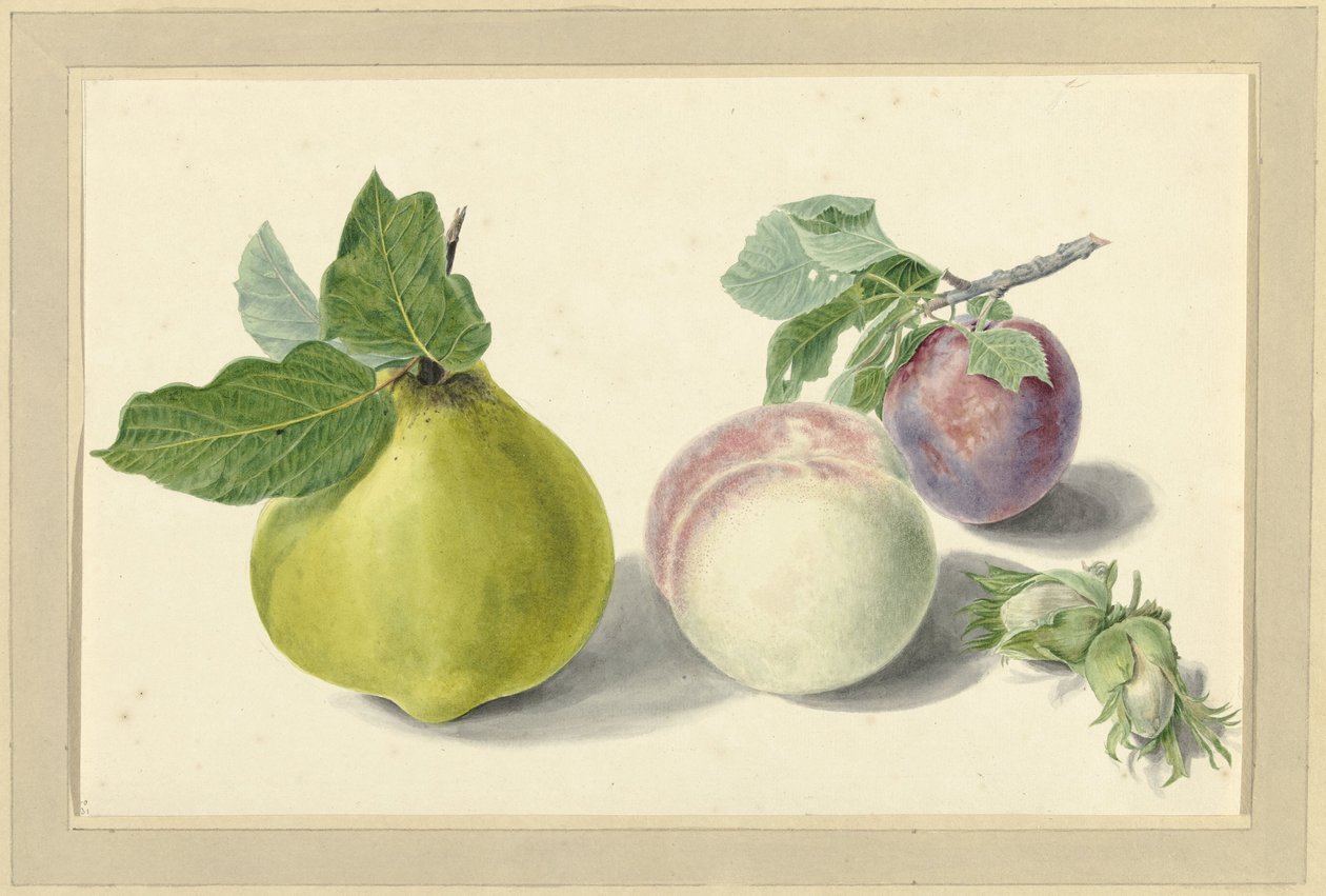 En pære, fersken, blomme og nødder af Elisabeth Geertruida van de Kasteele