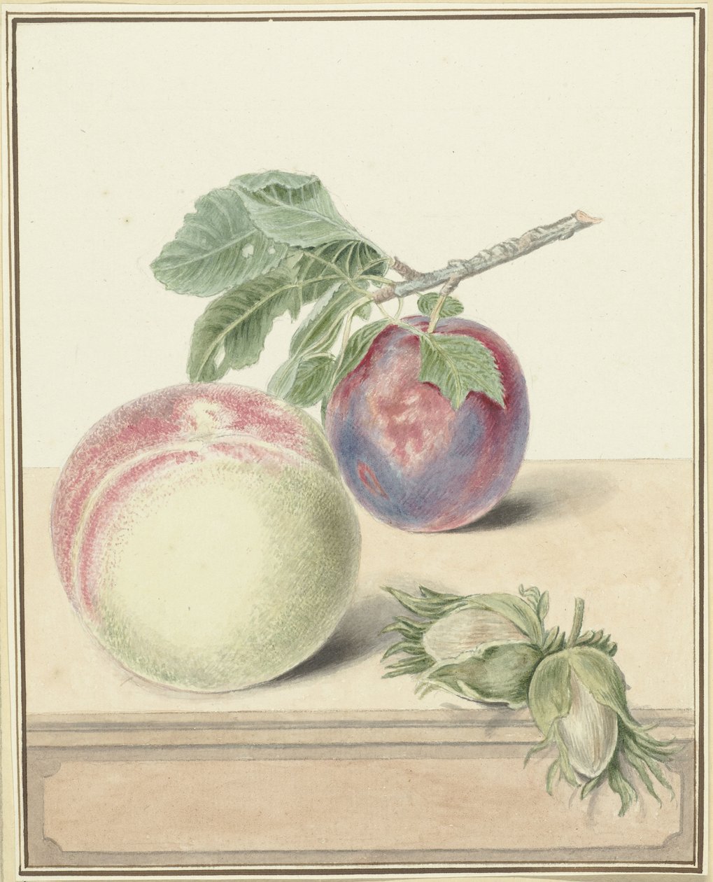 Fersken, en blomme med blad og et par nødder af Elisabeth Geertruida van de Kasteele