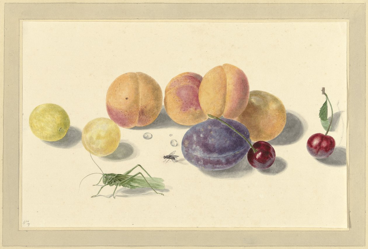 Fersken, blommer, kirsebær og to insekter af Elisabeth Geertruida van de Kasteele