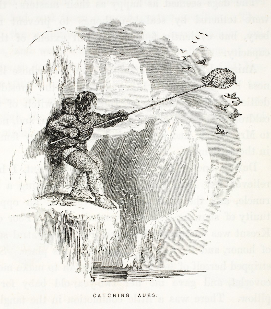 Catching Auks, illustration fra, The second Grinnell Expedition in Search of Sir John Franklin...