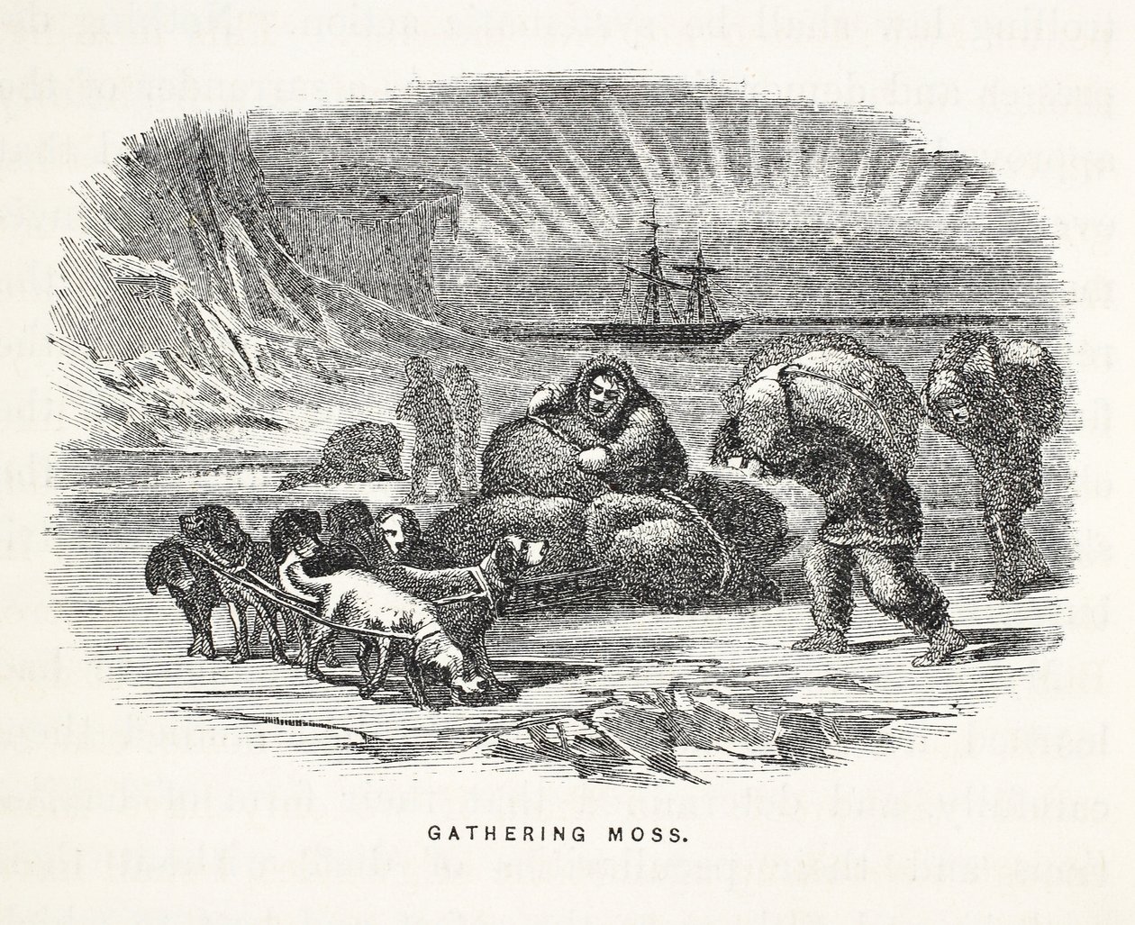 Gathering Moss, illustration fra "The second Grinnell Expedition in Search of Sir John Franklin...", 1856 af Elisha Kane