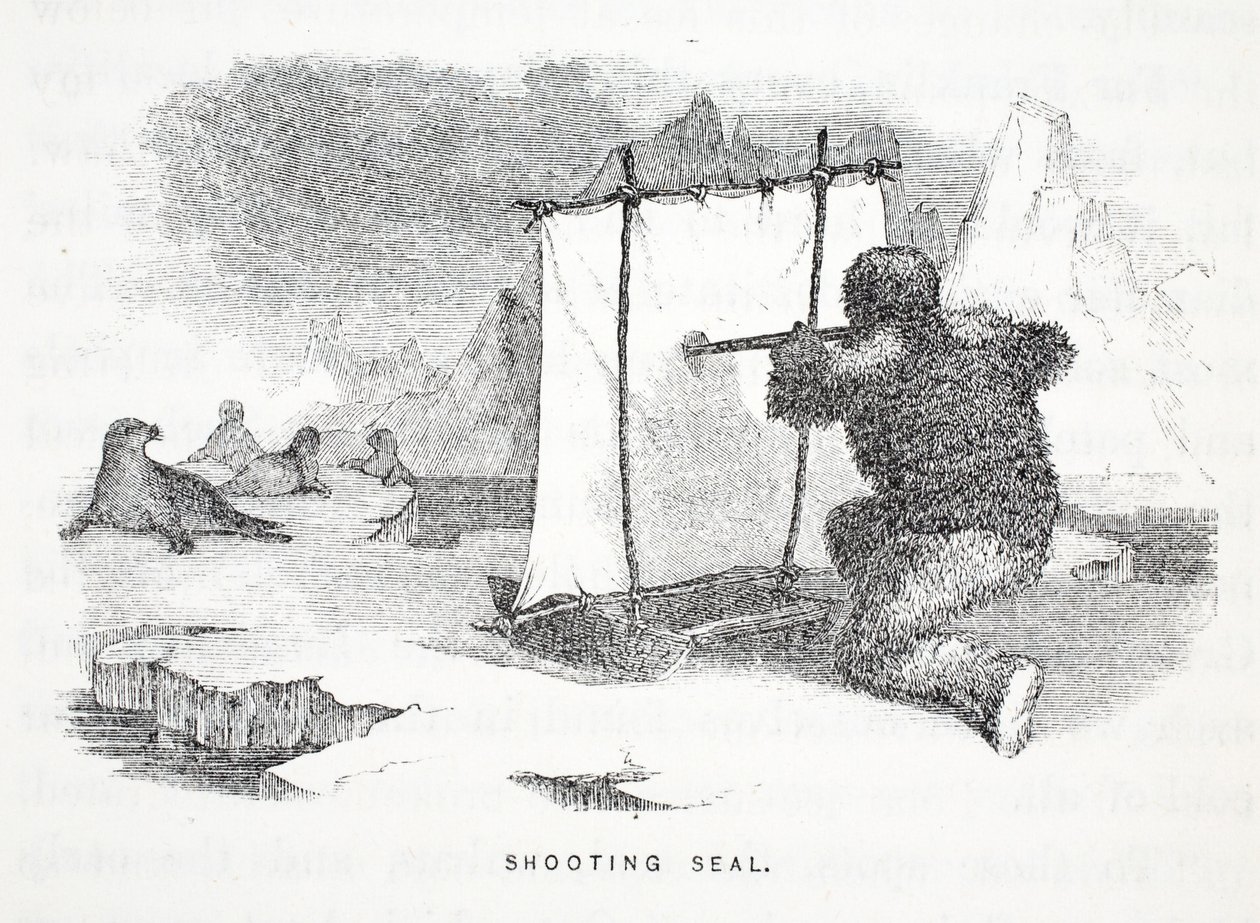 Shooting Seal, illustration fra 