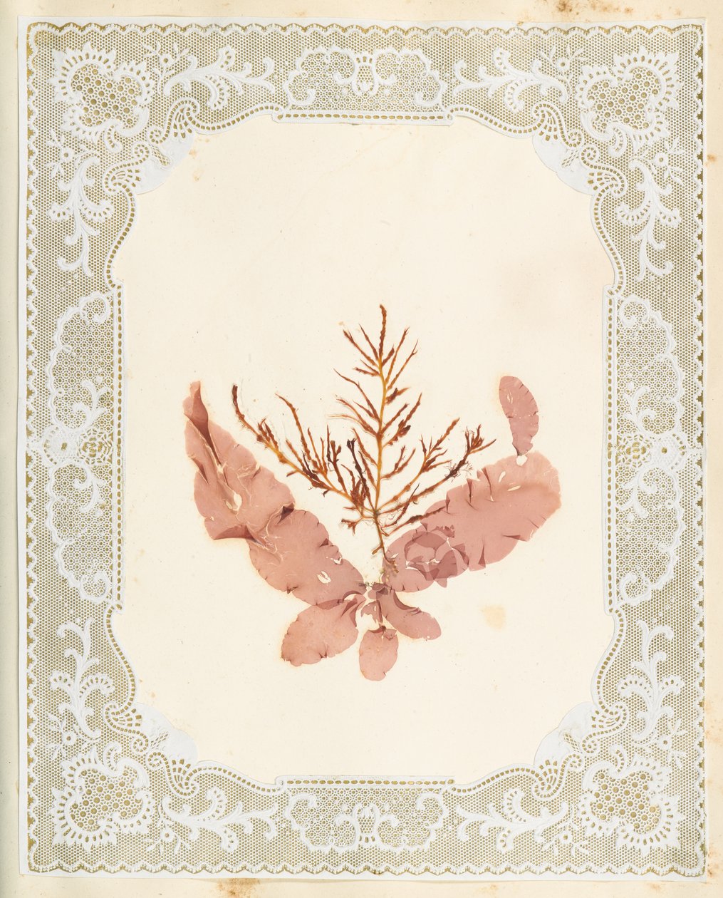 Tang af Eliza A. Jordson