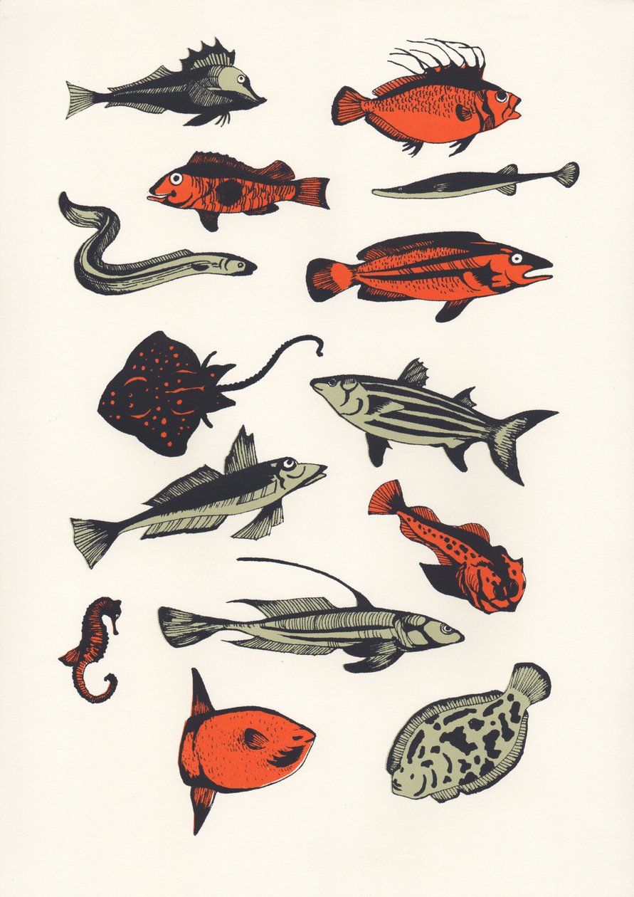 Orange Plain Fish, 2016 (Screenprint) af Eliza Southwood