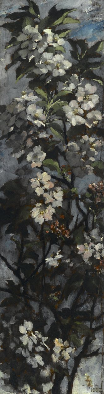Æbler blomstrer af Elizabeth Boott Duveneck