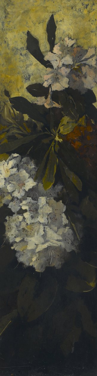 Rhododendron af Elizabeth Boott Duveneck