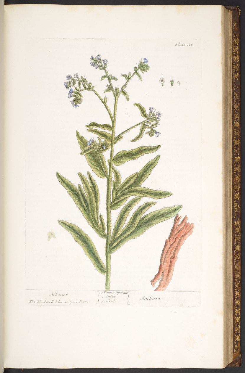 Tallerken 112, fra 