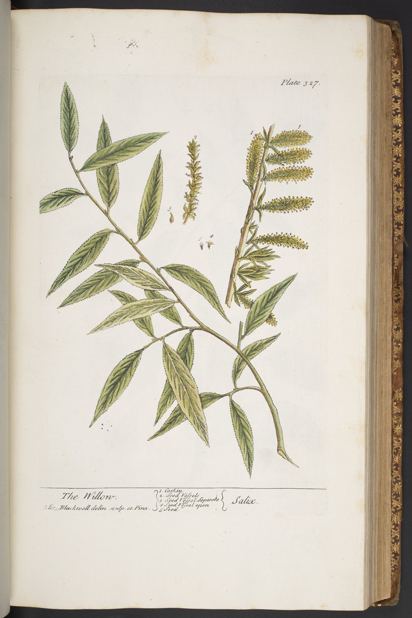 Tallerken 327, fra 