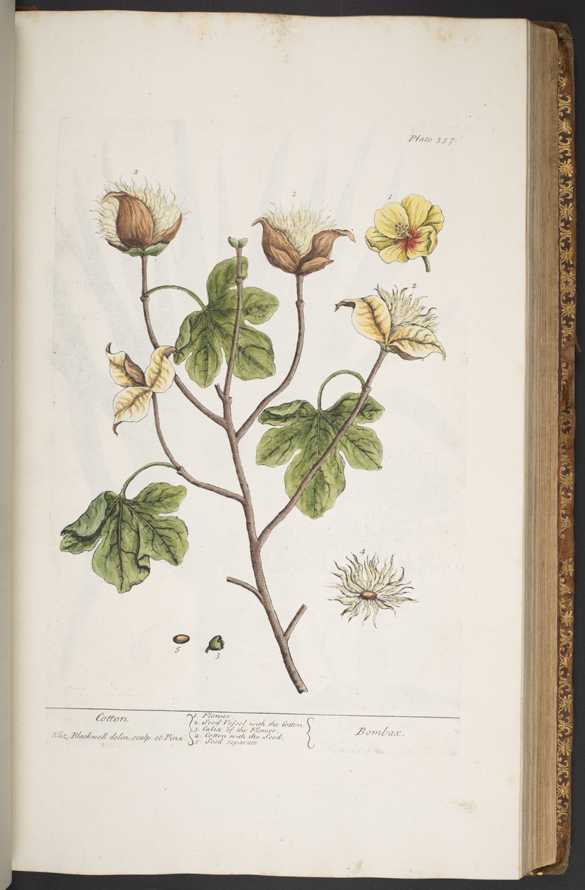 Tallerken 357, fra 