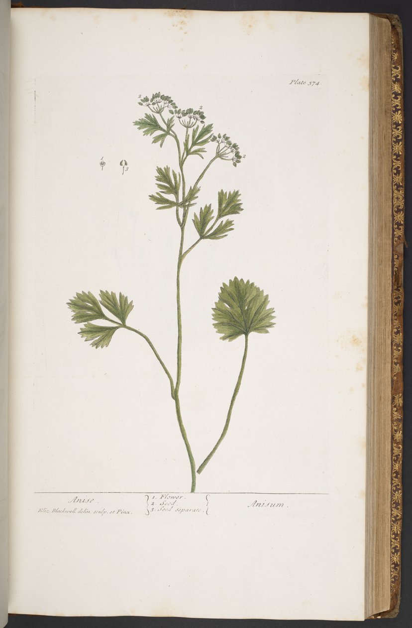 Tallerken 374, fra 