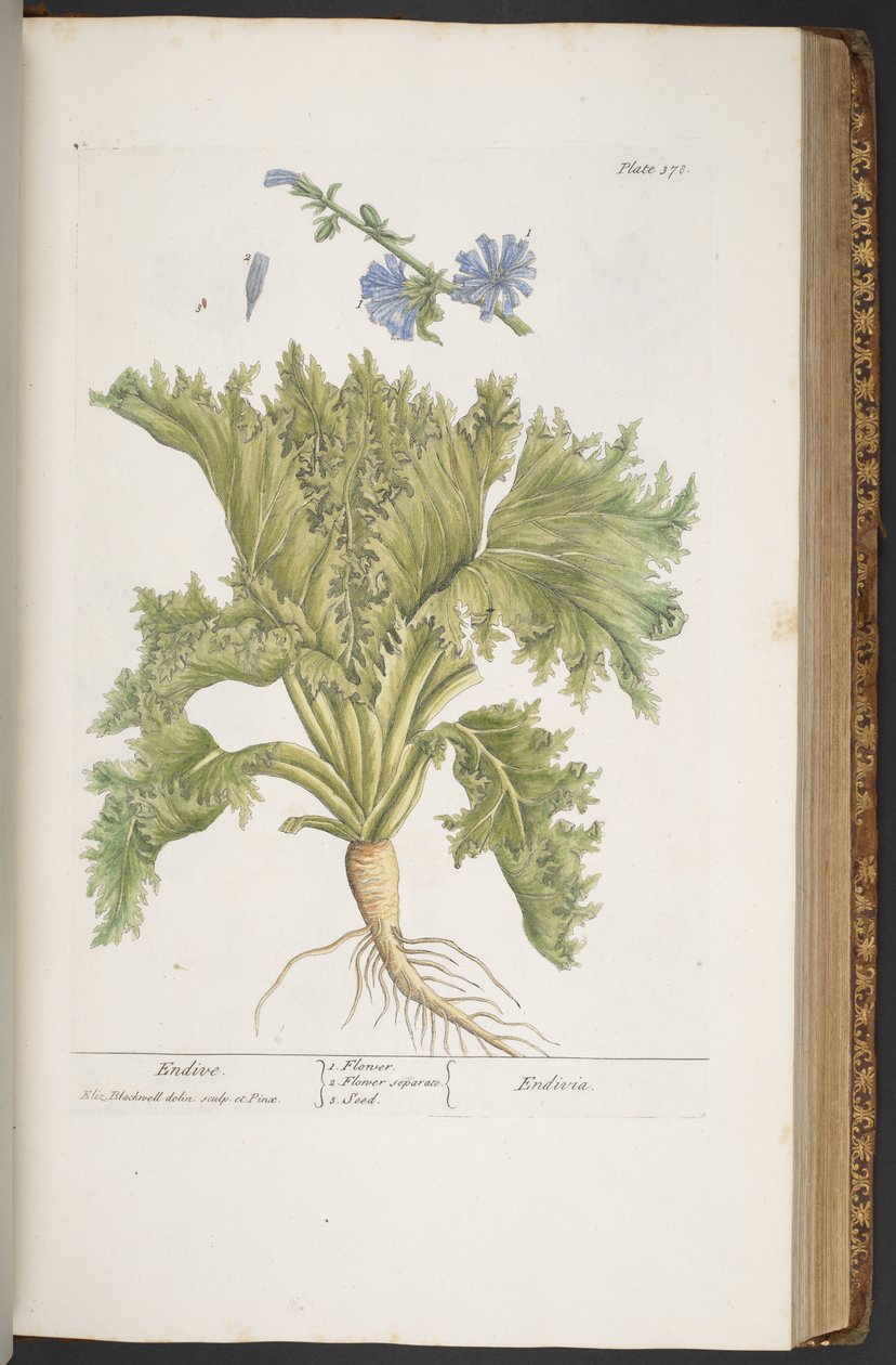 Tallerken 378, fra 