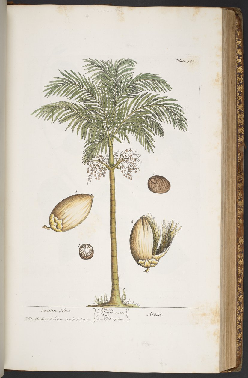Tallerken 387, fra 