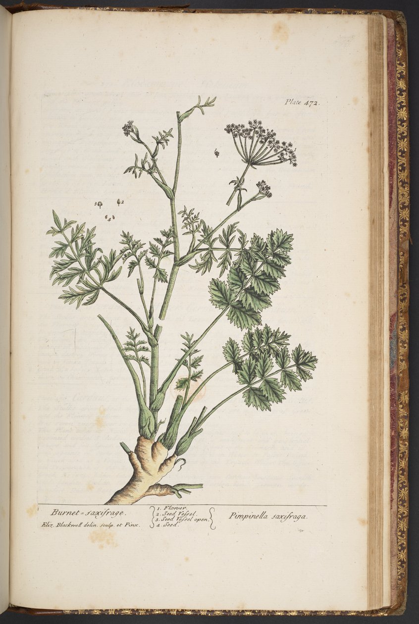 Tallerken 472, fra 